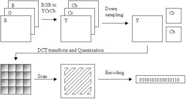 the JPEG compression algorithm